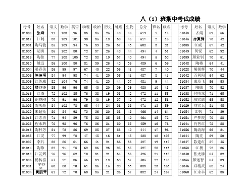 八年级期中考试成绩