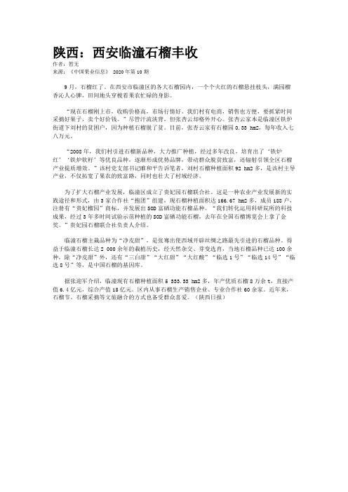 陕西：西安临潼石榴丰收