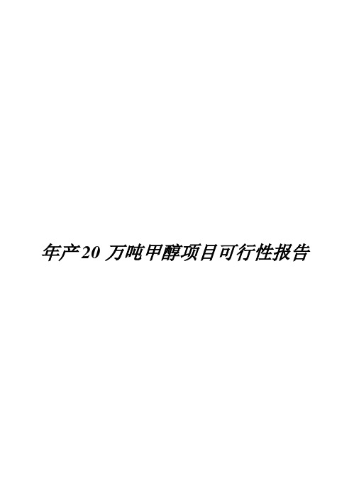 (强烈推荐)年产20万吨煤制甲醇生产工艺初步设计可行性研究报告