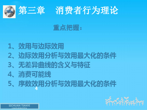 经济学之消费者行为理论(ppt 21页)