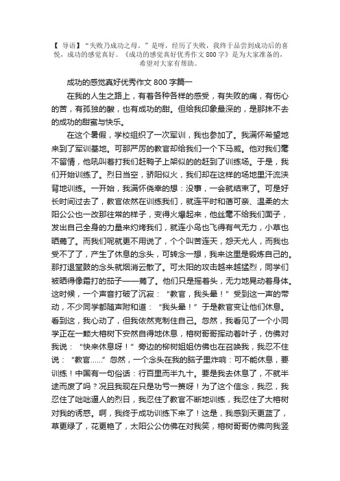 成功的感觉真好优秀作文800字