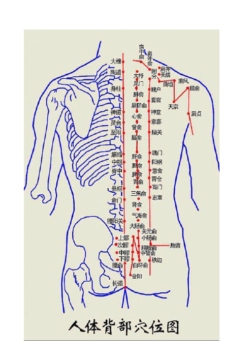 肩周炎中医拔罐穴位图