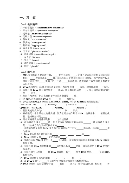 DNA的复制与转录