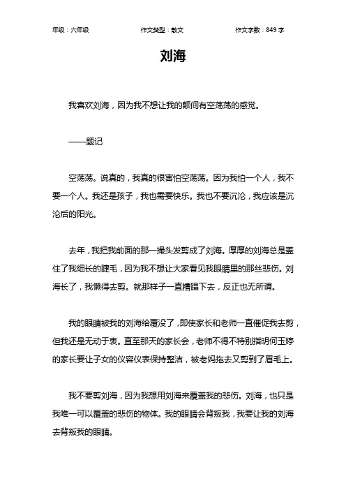 刘海作文【小学六年级800字】