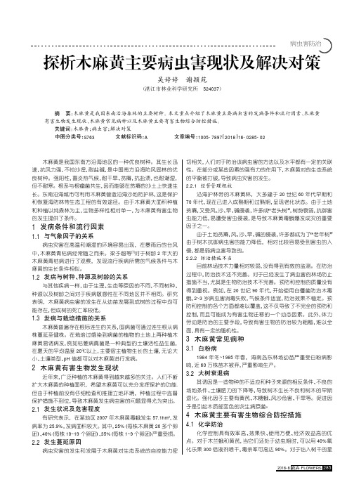 探析木麻黄主要病虫害现状及解决对策