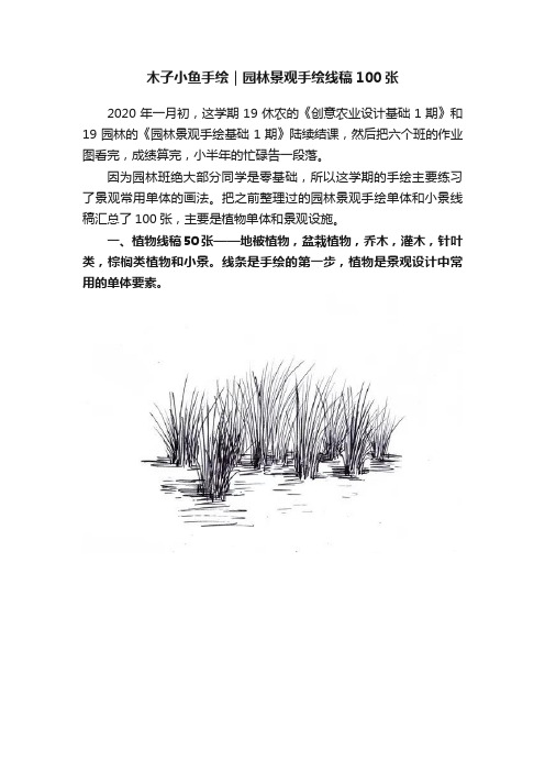 木子小鱼手绘｜园林景观手绘线稿100张