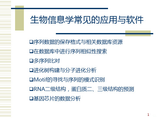 生物序列的同源性搜索blas简介及其应用PPT课件