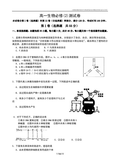 人教版试题试卷高中生物必修(2)综合测验及答案(适合江苏省)