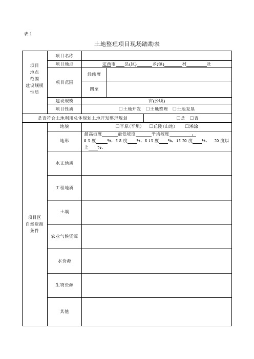 土地 项目现场踏勘表