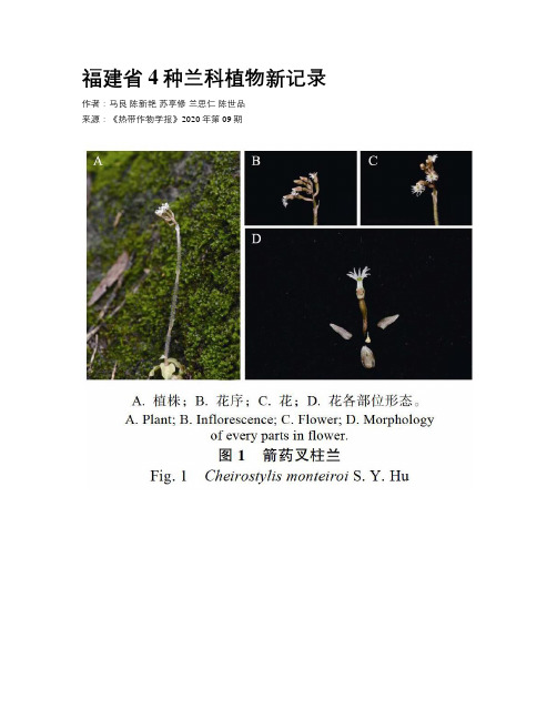 福建省4种兰科植物新记录