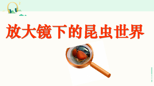 教科版科学六年级下册《放大镜下昆虫世界》课件