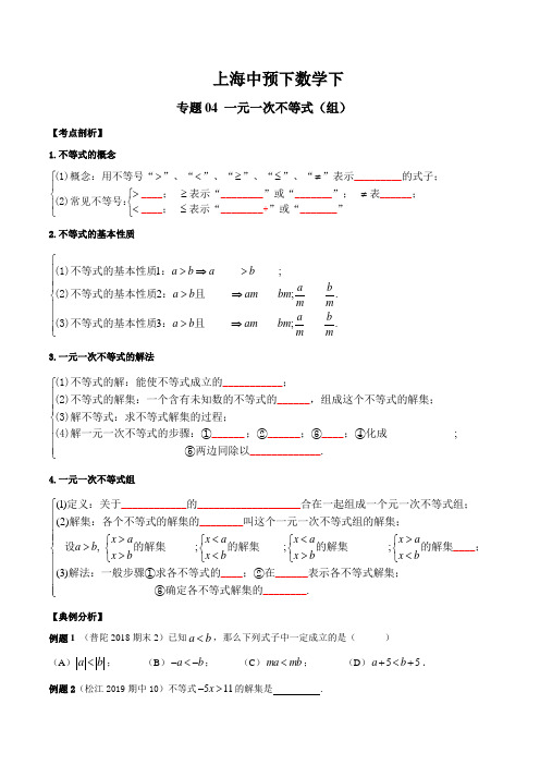 上海市中预下数学专题04 一元一次不等式(组)(考点串讲)(沪教版)(解析版)