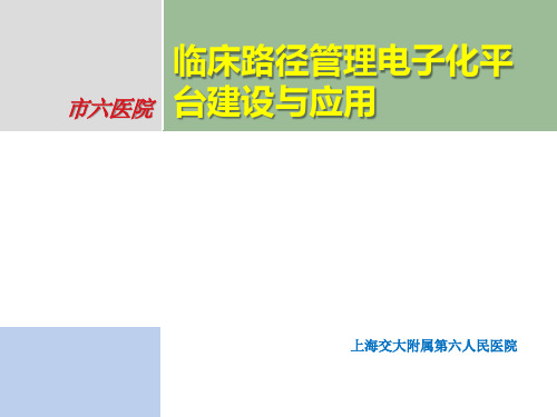 临床路径管理电子化平台建设与应用