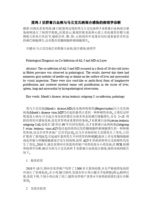 蛋鸡J亚群禽白血病与马立克氏病混合感染的病理学诊断