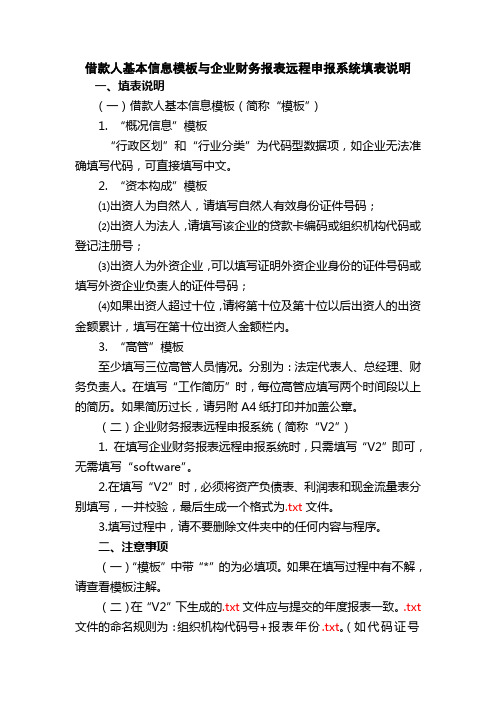 《借款人基本信息模板与企业财务报表远程申报系统填表说明》