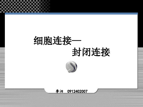 细胞连接.ppt