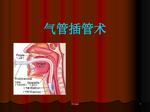 气管插管技术讲课ppt课件