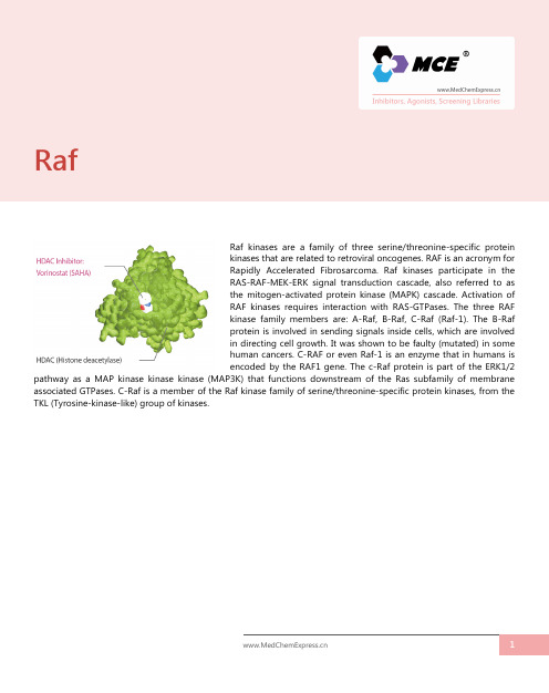 Raf抑制剂_激动剂_MCE