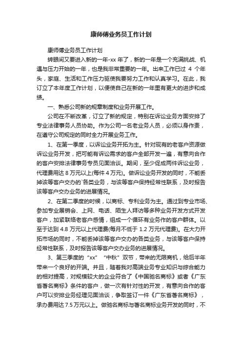 康师傅业务员工作计划