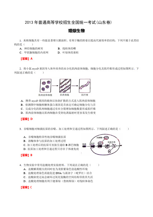 2013高考生物山东卷