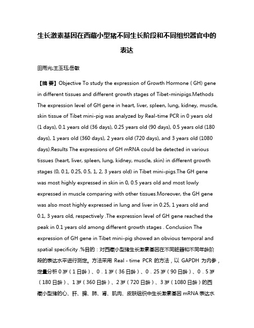 生长激素基因在西藏小型猪不同生长阶段和不同组织器官中的表达