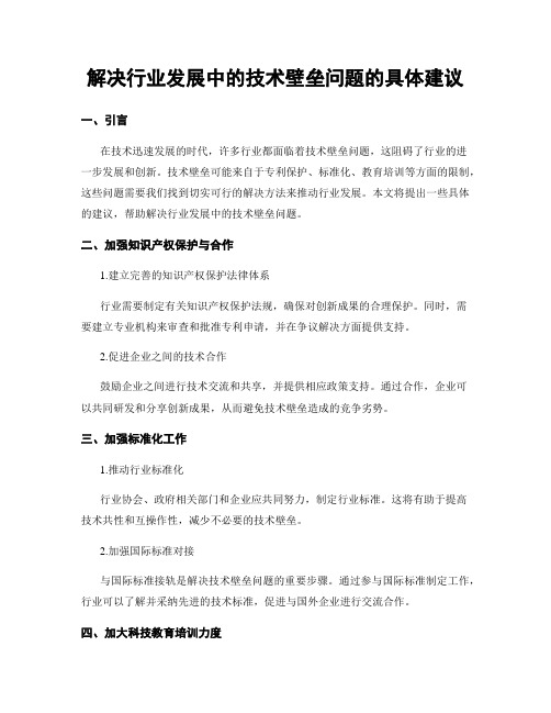 解决行业发展中的技术壁垒问题的具体建议