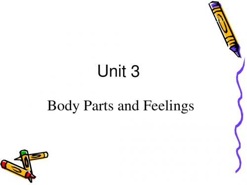 新冀教版七年级英语上册Unit 3 Body Parts and Feelings Lesson 14 优质课课件