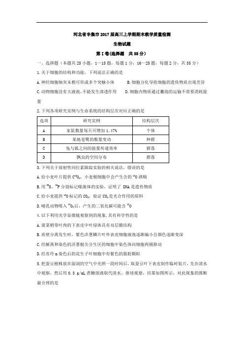 河北省辛集市2017届高三上学期期末教学质量检测生物试题 Word版含解析