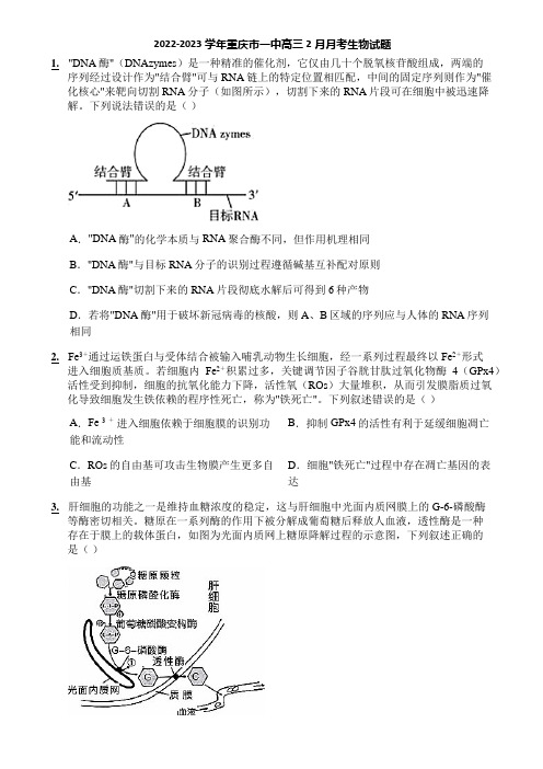 2022-2023学年重庆市一中高三2月月考生物试题