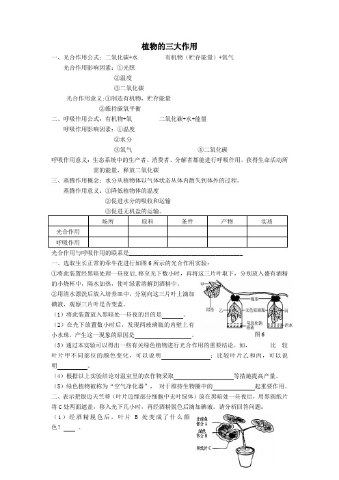 植物的三大作用