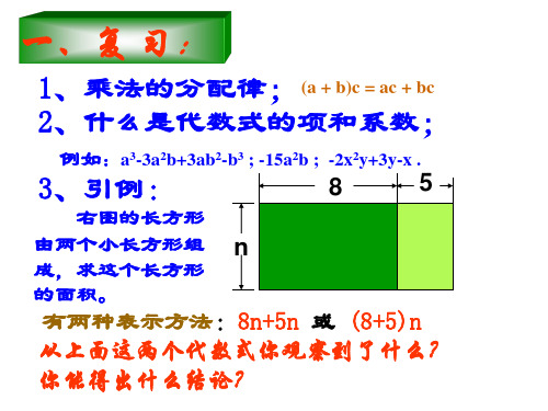 华师版初一数学合并同类项1(PPT)5-2