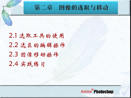 photoshop 图像的选取与移动