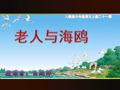 部编六年级上人教《21 老人与海鸥》白延萍PPT课件 一等奖新名师优质课获奖比赛公开免费下载