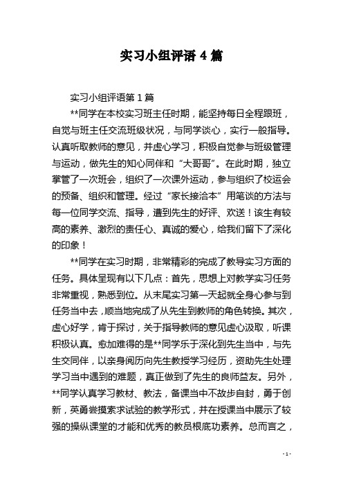 实习小组评语4篇