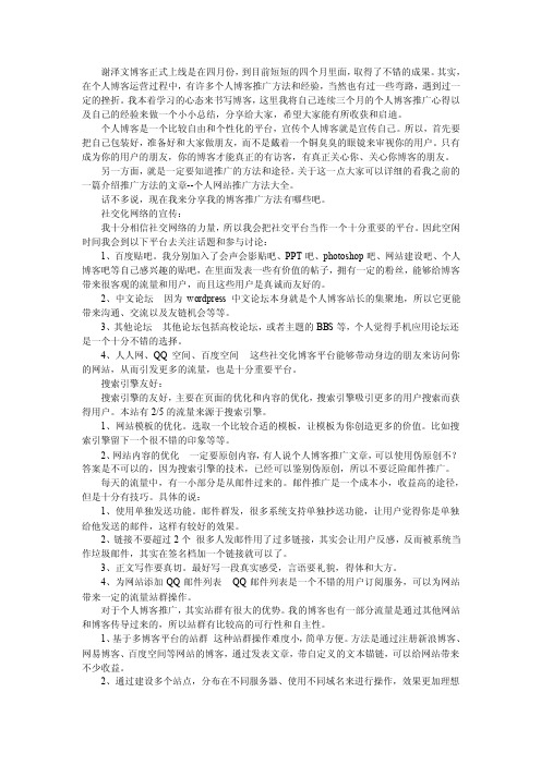 我个人博客推广方法和经验总结报告