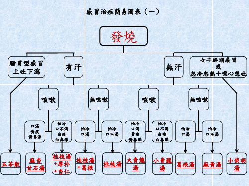 感冒治症简易图表(一)