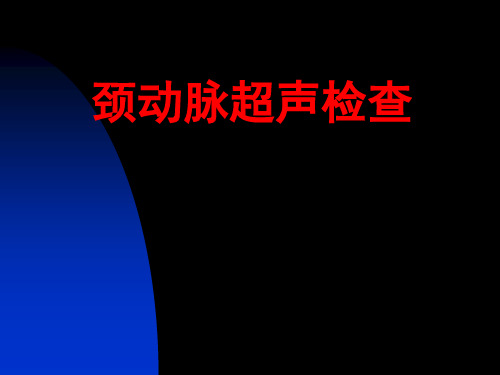 颈动脉超声检查