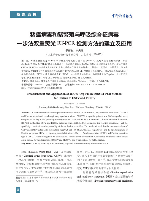 猪瘟病毒和猪繁殖与呼吸综合征病毒一步法双重荧光RT-PCR检测方法的建立及应用