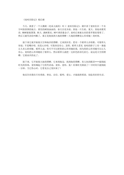 《麦咭历险记》观后感