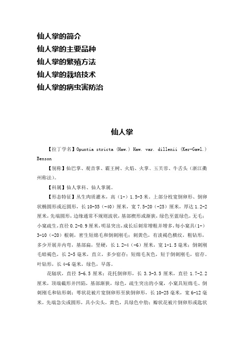 仙人掌