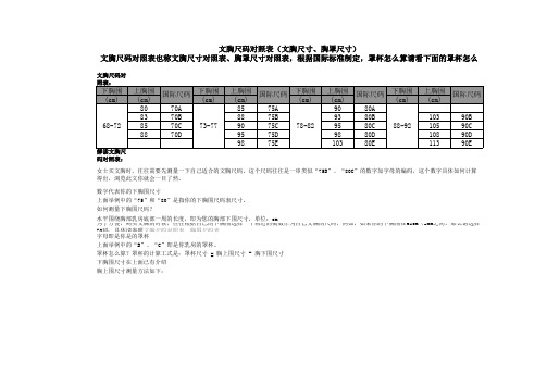 文胸尺码对照表