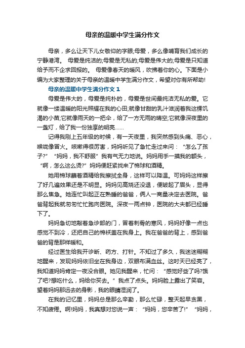 母亲的温暖中学生满分作文