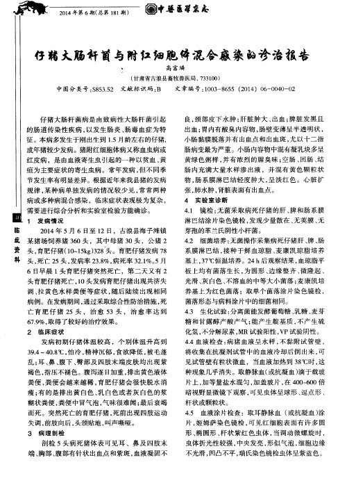 仔猪大肠杆菌与附红细胞体混合感染的诊治报告