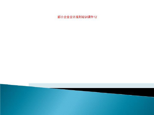 新小企业会计准则培训课件12-精品文档