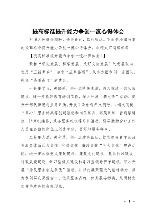 提高标准提升能力争创一流心得体会