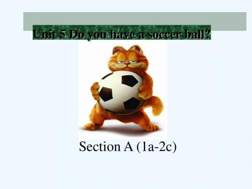 2017-2018学年七年级英语上册Unit5DoyouhaveasoccerballSectionA(第1课时)(新)人教新目标