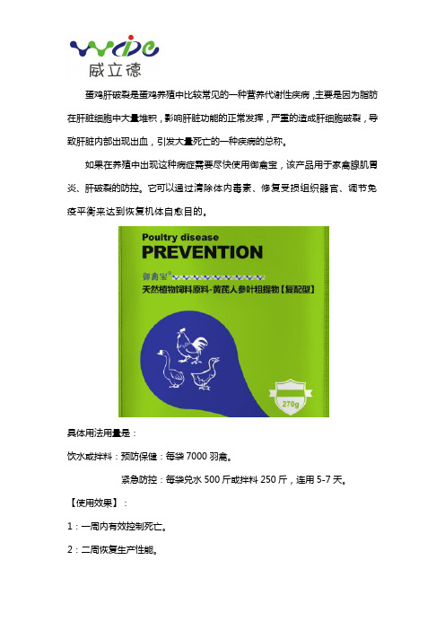 蛋鸡肝破裂怎么办