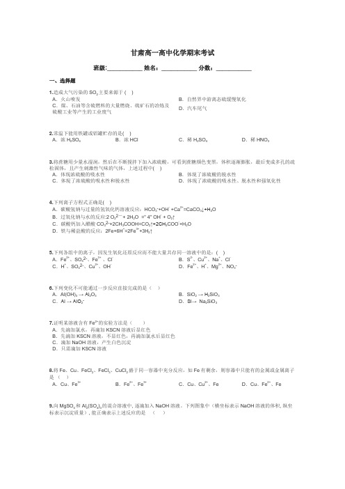 甘肃高一高中化学期末考试带答案解析
