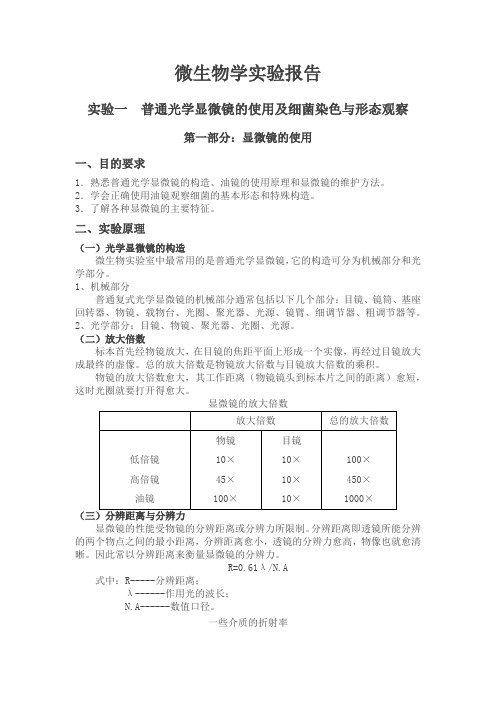 微生物学实验报告