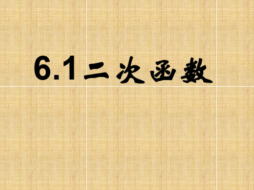 九年级下册数学二次函数课件精编版